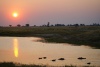 Hippos beim Sonnenuntergang