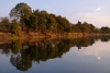 Bäume spiegeln sich im Wasser des Zambezi