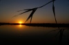 Toller Sonnenuntergang vom Böötli aus fotografiert